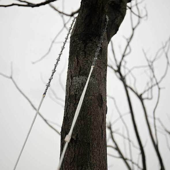 The Portable ChainSaw