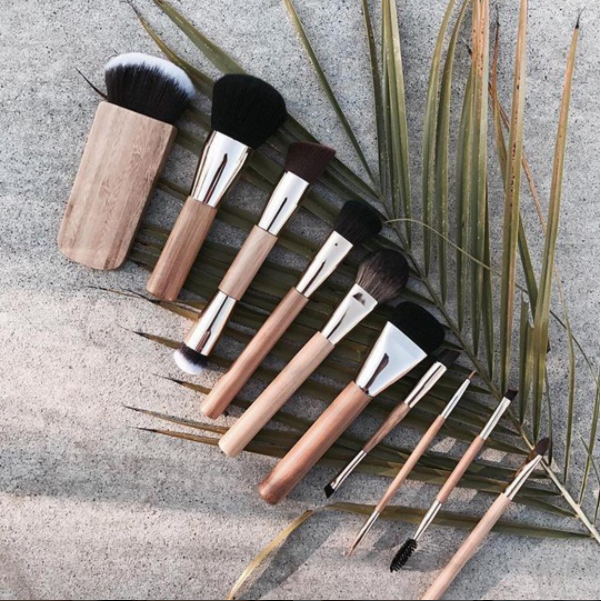 10 Piece Professional Wood Brush Set