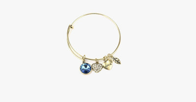 December Birthstone Charm Bangle