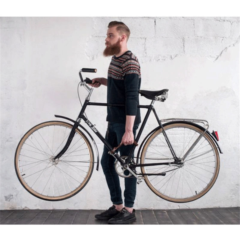 Bicycle Frame Handle