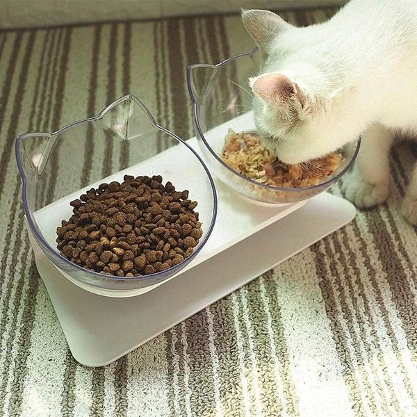 Anti-Vomiting Orthopedic Cat Bowl