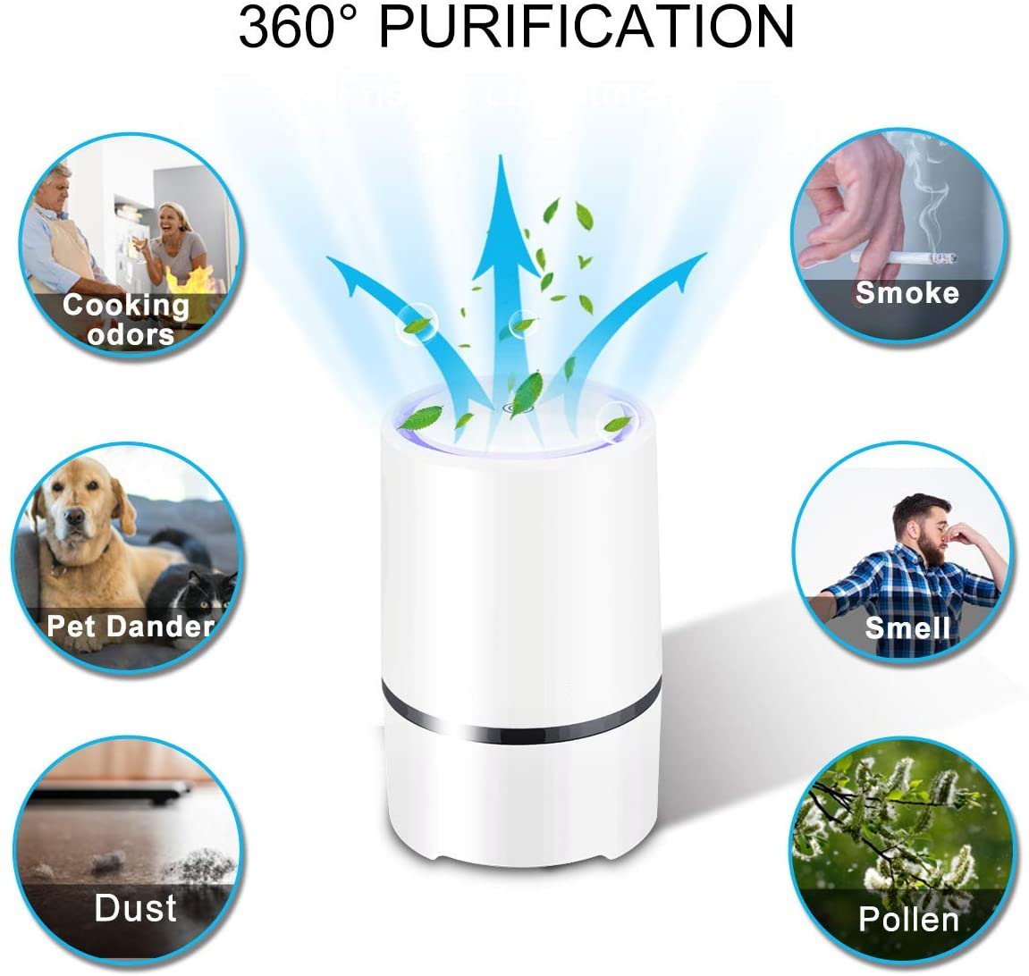 Air Purifier For Home With True HEPA Filter For Smoke Gray