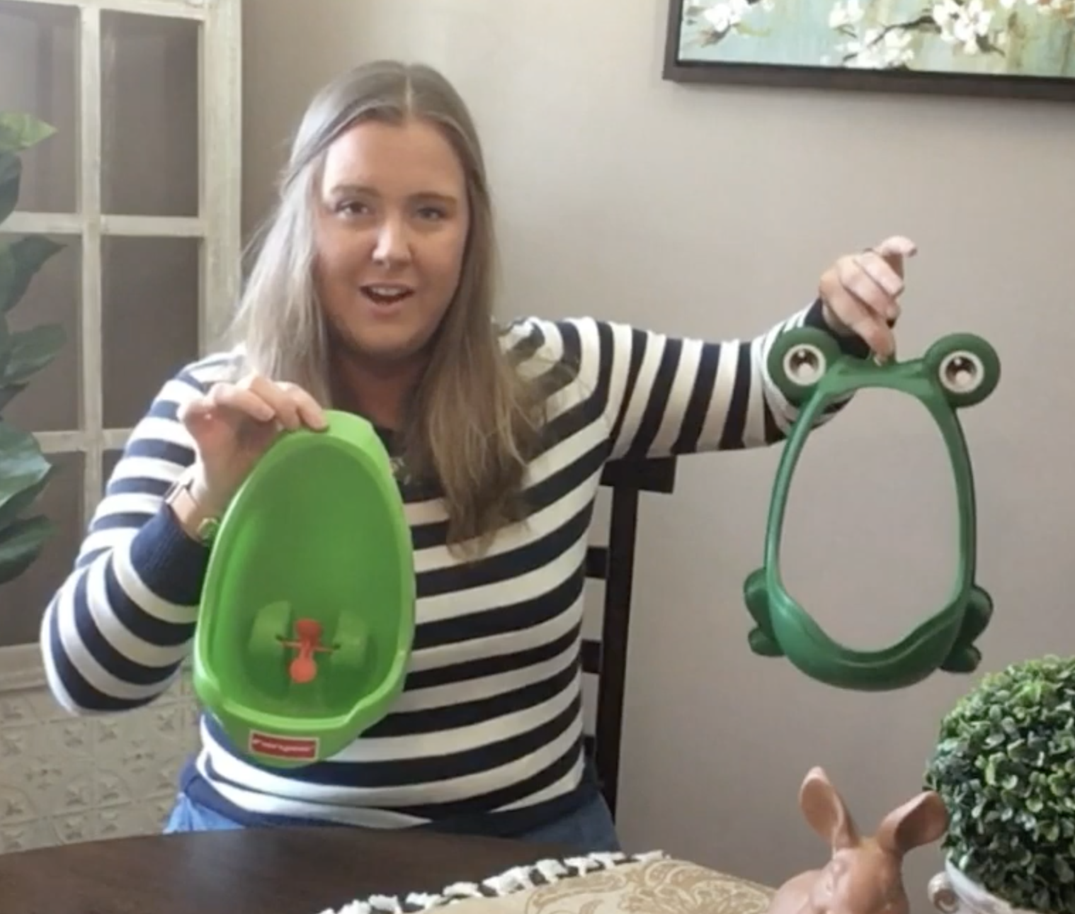 Boys Toilet Trainer