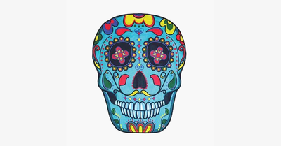 Aesthetic Skull Beach Mat – The Mat for Every Use!