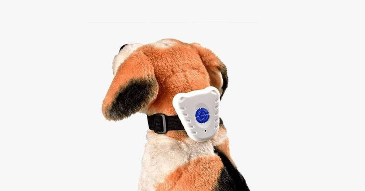 Bark Off: Dog Collar