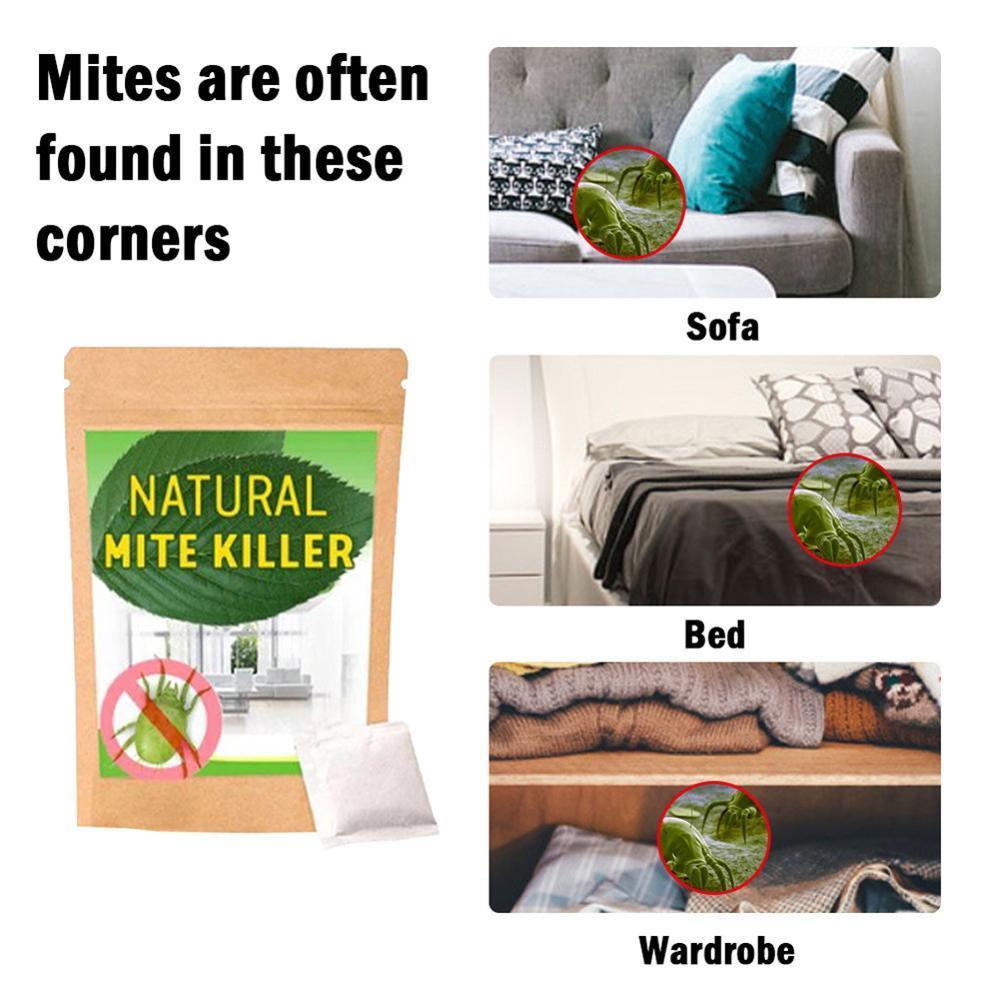 Anti Dust Mite Pad (6 PCS)